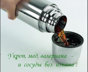 Чистить сосуды, мёд укроп