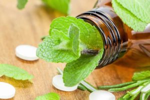 Мелисса – признанное лекарственное растение с седативным действием