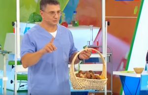 мясников грибы