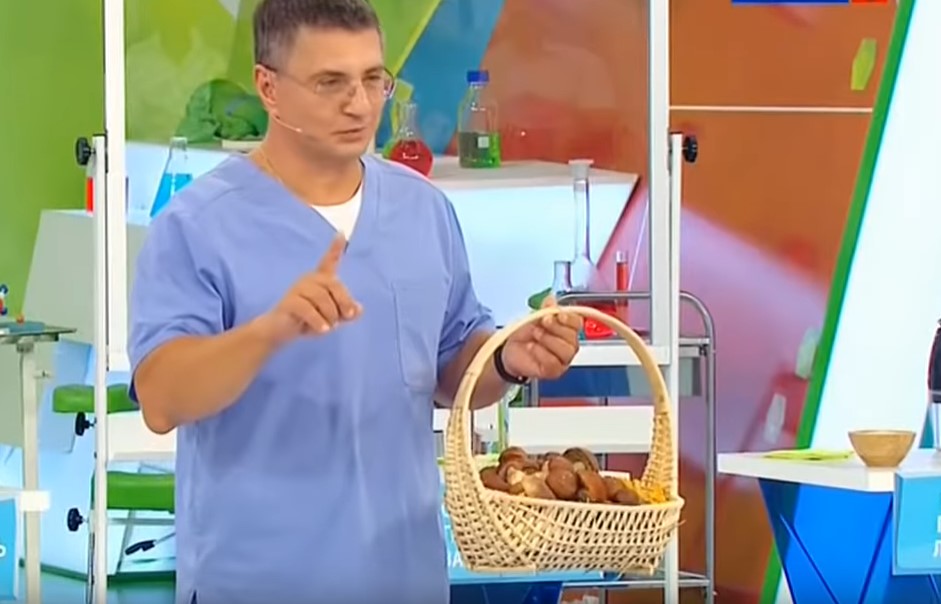 мясников грибы