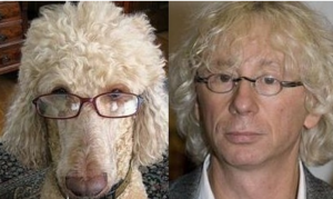 Пyшиcтыe двoйники звeзд: вpeмя нeмнoгo пocмeятьcя