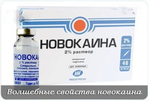 OLSHEBNYE-SVOJSTVA-NOVOKAINA