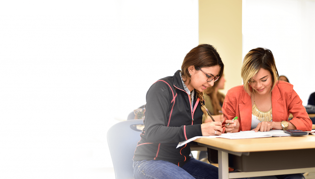 курсы сливы